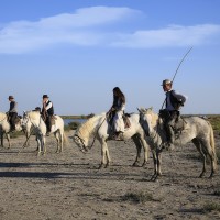 Jeunes gardians montant leurs chevaux