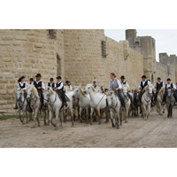 Les traditions de la Camargue