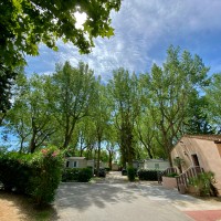 Le camping abrite nombre de végétaux tels que les pins, les platanes, les peupliers mais aussi les oliviers de bohème, les érables ou les saules pleureurs