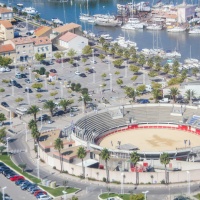 Pour tous les spectacles emblématiques de Camargue