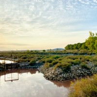 Les Salins d'Aigues-Mortes, couleurs de fin de journée