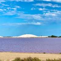 Marais Salants La Baleine près du camping