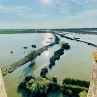 Marécages en Camargue depuis le haut de la Tour Carbonière