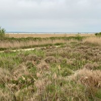 Parc naturel du Scamandre, la nature  retient son souffle en hiver