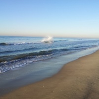 Les plages du Grau du Roi