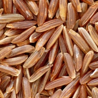 Riz naturel de Camargue