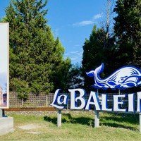 Sel La Baleine, à 5 minutes du Camping
