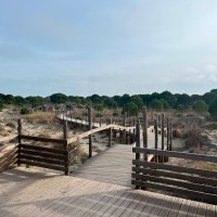 Sentier balisé jusqu'au Phare de l'Espiguette