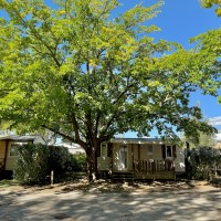 Très bel arbre ombrageant un mobil-home