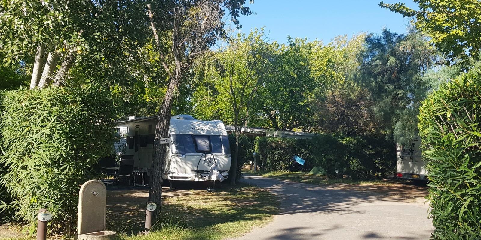 Emplacement de caravane, tente ou camping car dans notre Camping en Camargue