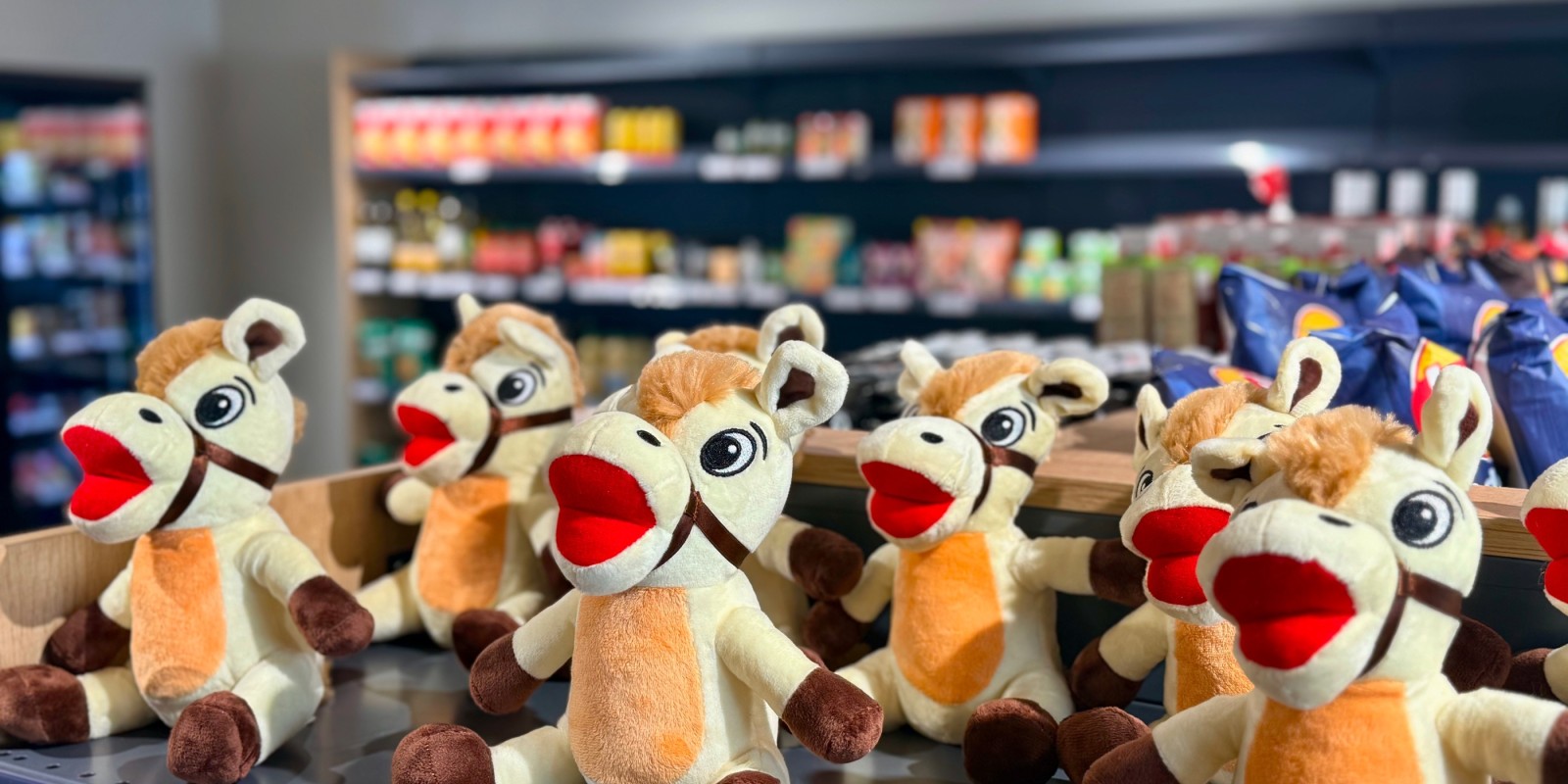 Le fidèle Samy en peluche, en vente à l'épicerie