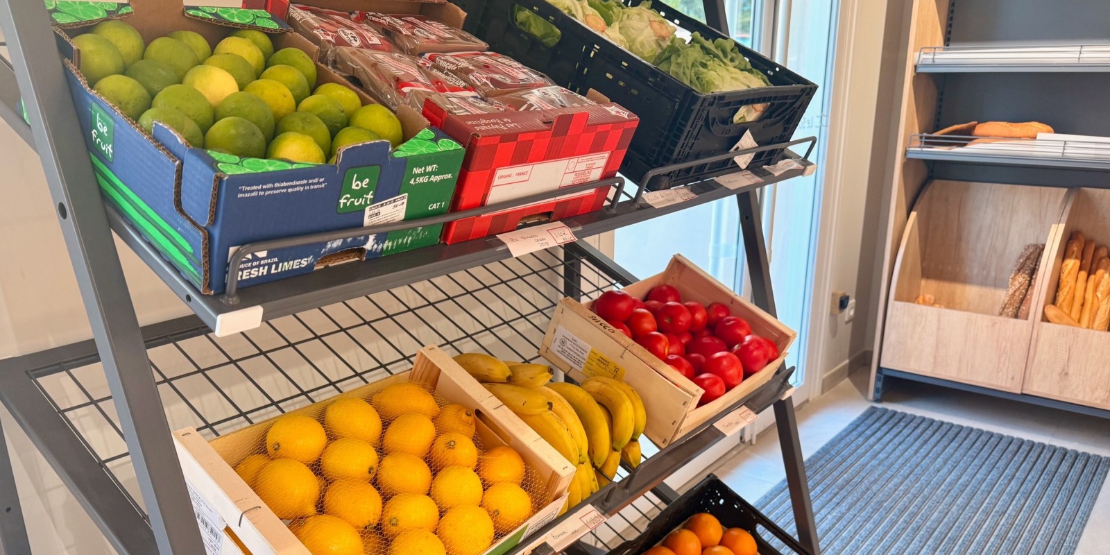 Légumes et fruits de saison à l'épicerie du camping