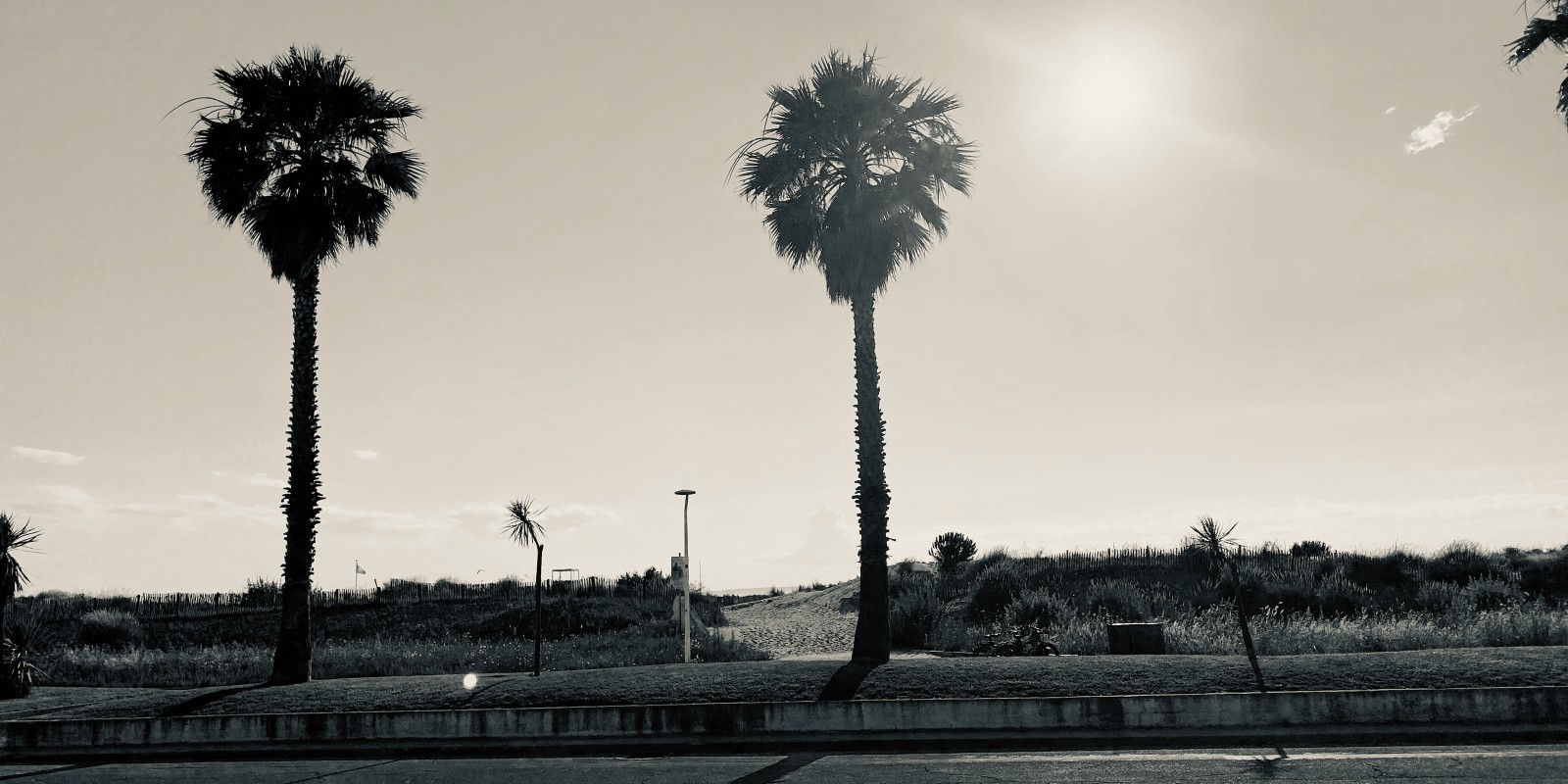 Plage Port-Carmargue Sud, entrée de la plage