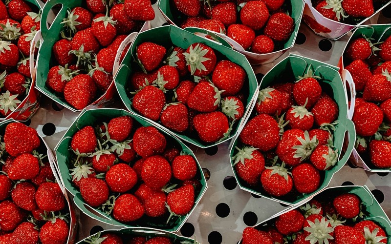 C'est la saison des fraises plein air (crédit photo Adrianna Geo sur Unsplash)