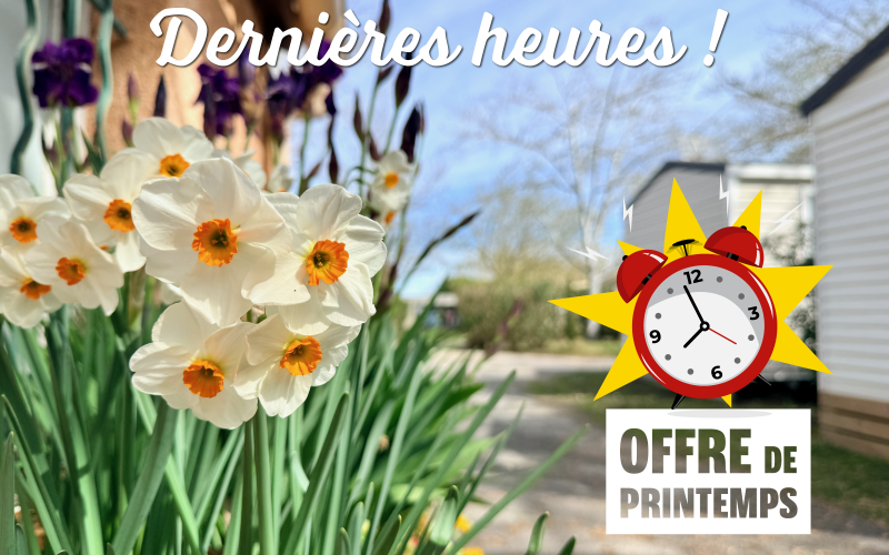 Dernières heures pour l'offre de printemps