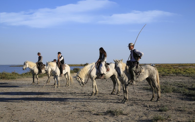 Jeunes gardians montant leurs chevaux