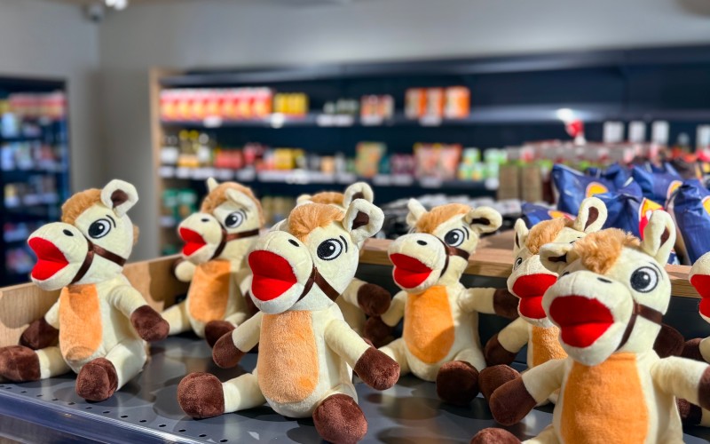 Le fidèle Samy en peluche, en vente à l'épicerie