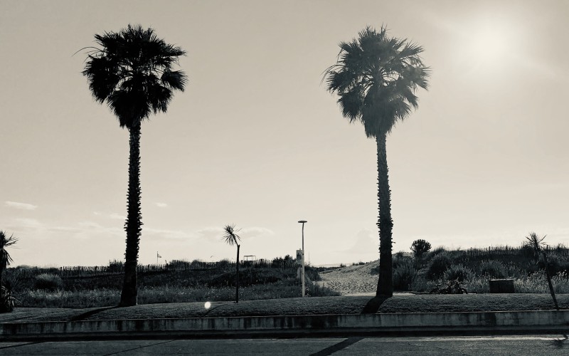Plage Port-Carmargue Sud, entrée de la plage