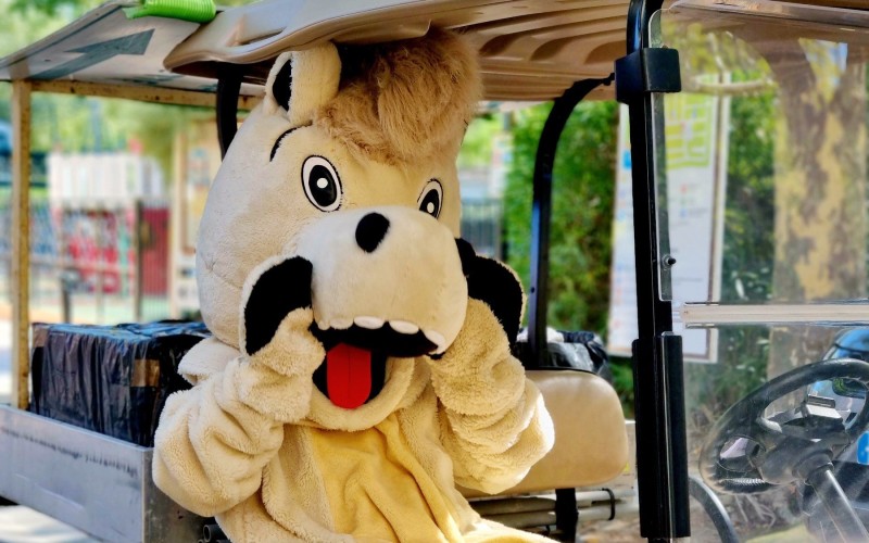 Samy dans sa golfette, l'idole des jeunes campeurs