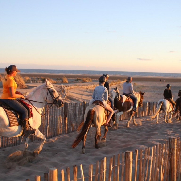 Balade à cheval en Camargue avec Abrivado Ranch