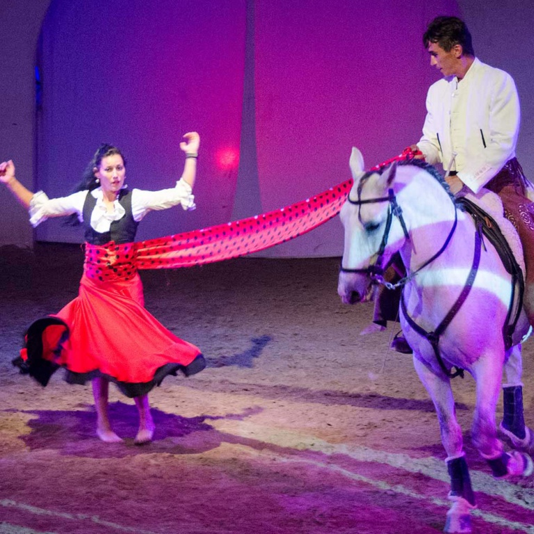 Cabarets Equestres de Camargue - extrait d'un spectacle