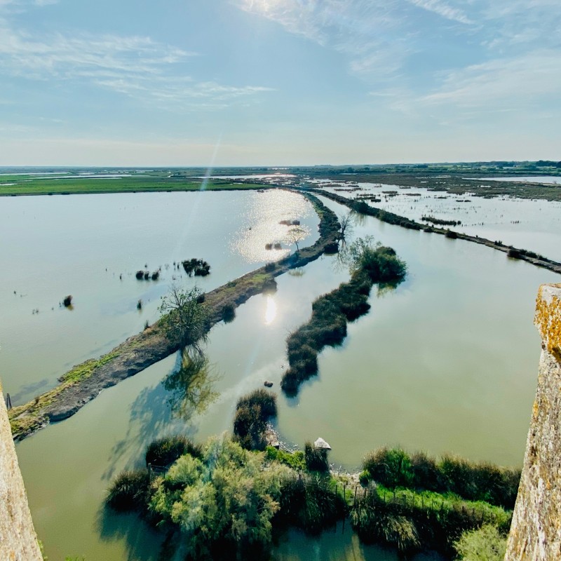 La petite Camargue vue du haut de la Tour Carbonnière près d'Aigues-Mortes