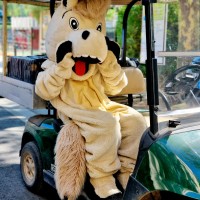 Samy dans sa golfette, l'idole des jeunes campeurs